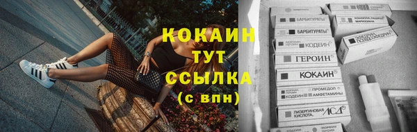 мдпв Надым