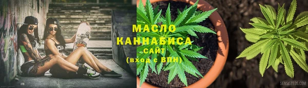 мдпв Надым