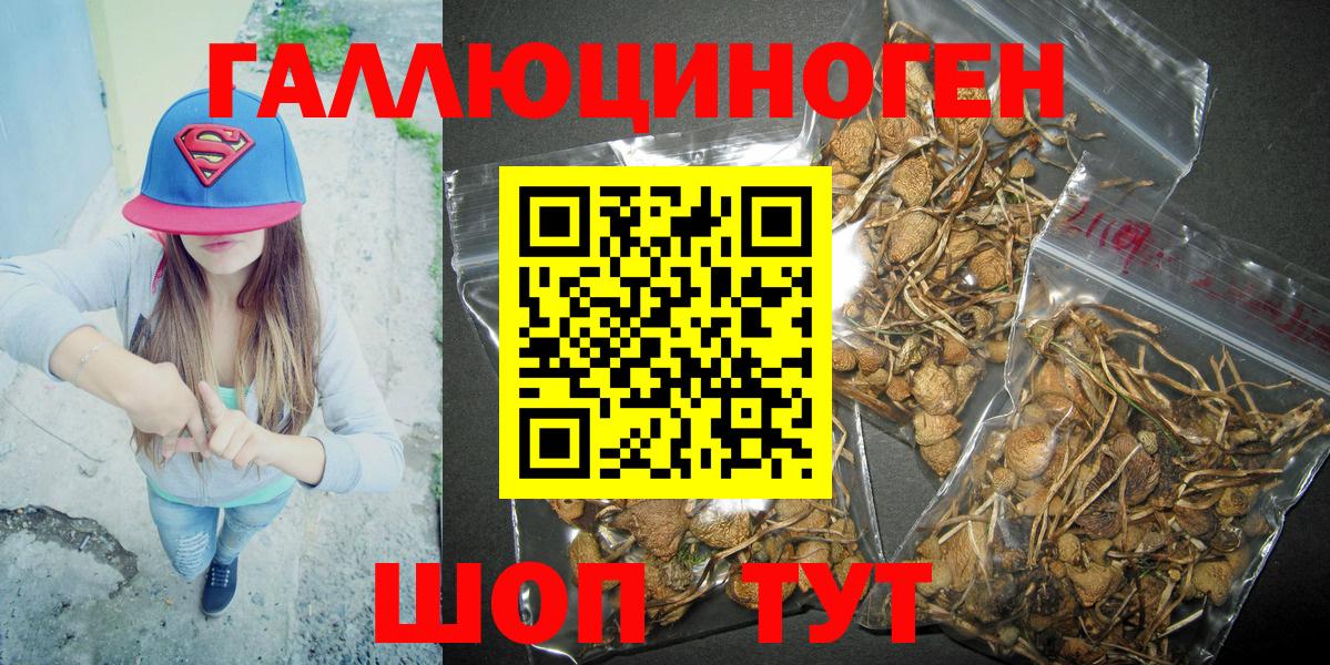 Галлюциногенные грибы Psilocybe Златоуст