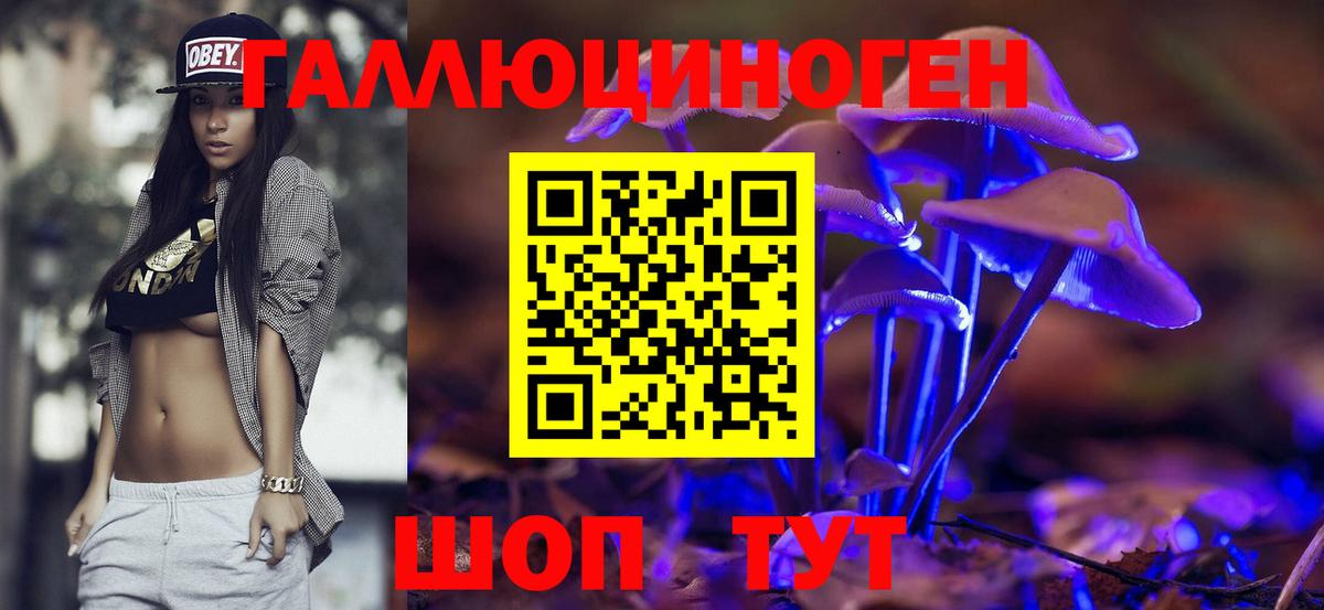 Псилоцибиновые грибы мицелий  Вход с VPN  Златоуст 