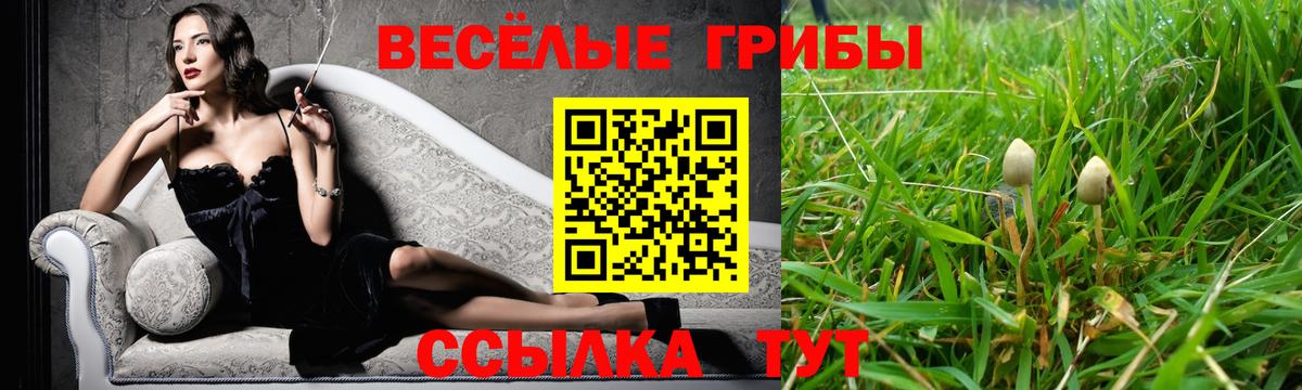 Галлюциногенные грибы прущие грибы Златоуст